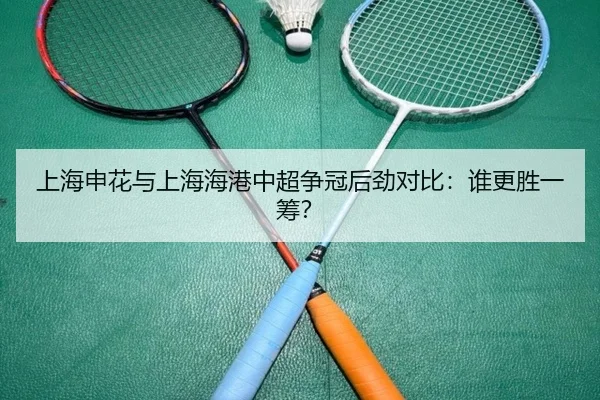 上海申花与上海海港中超争冠后劲对比：谁更胜一筹？